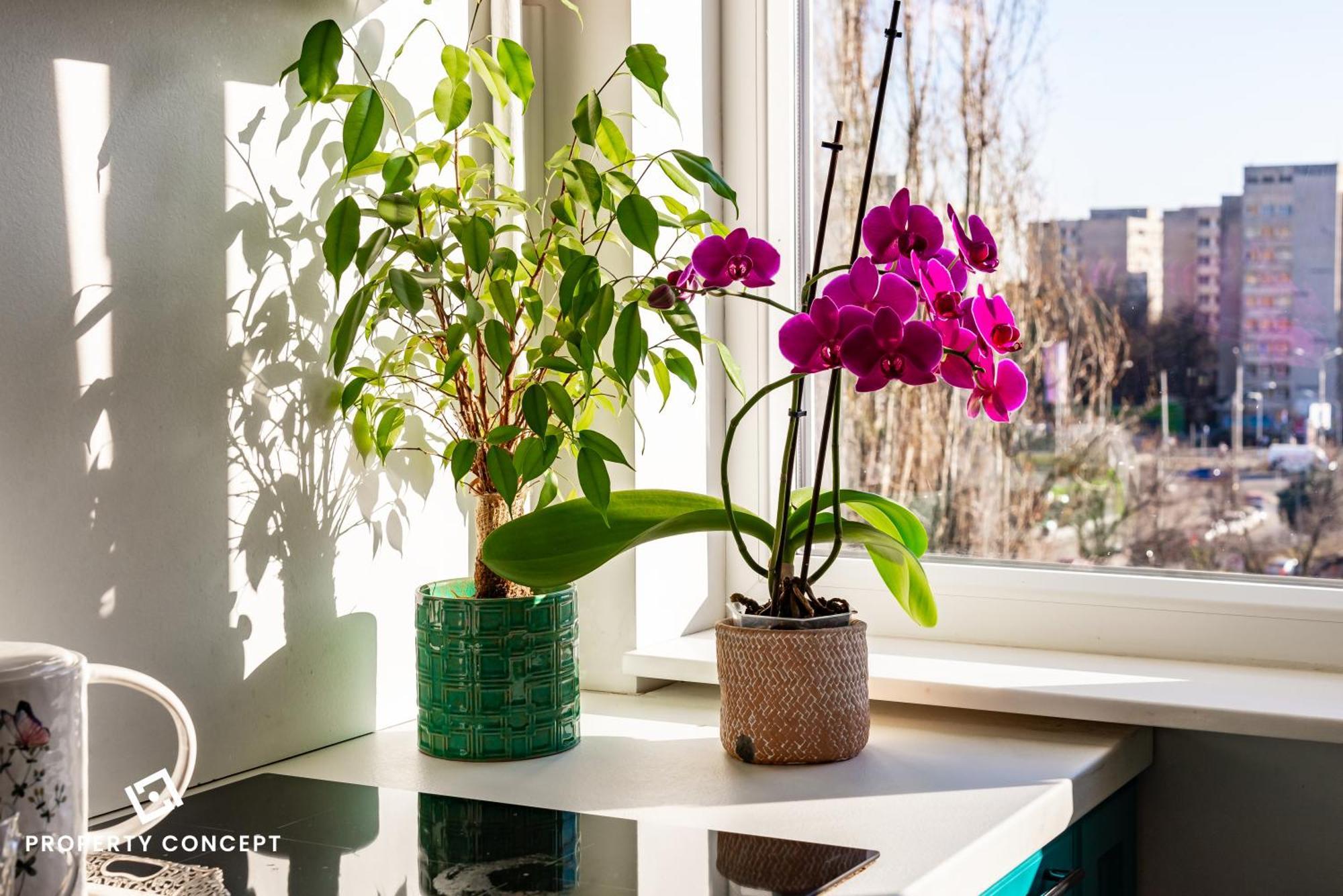 Blissful Retreat Apartment Boekarest Buitenkant foto