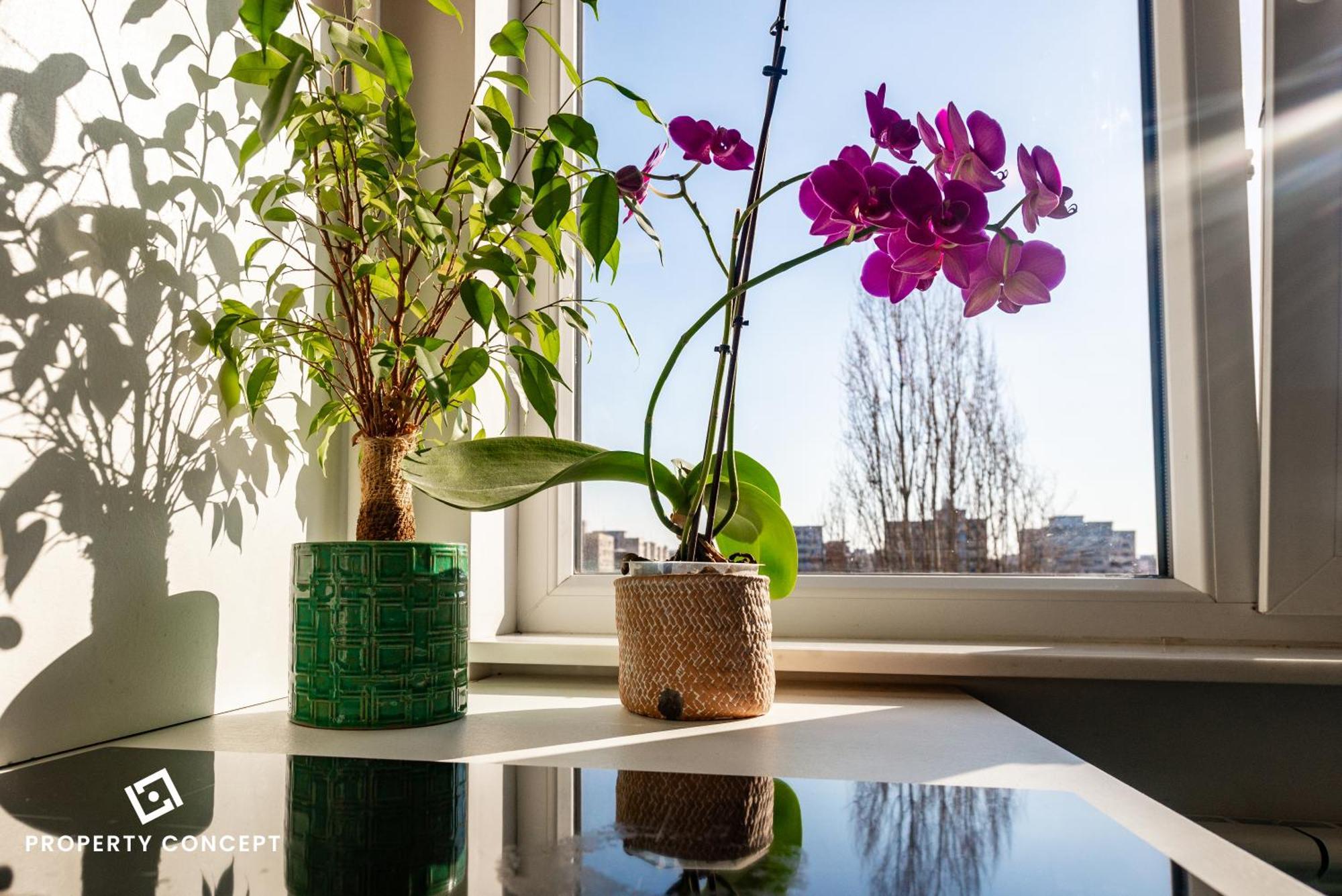 Blissful Retreat Apartment Boekarest Buitenkant foto