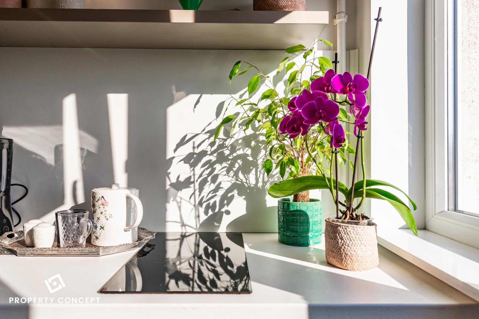 Blissful Retreat Apartment Boekarest Buitenkant foto